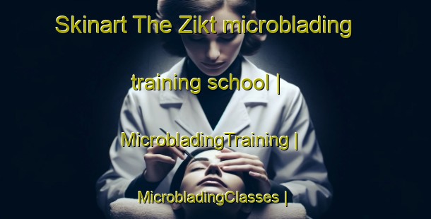 Skinart The Zikt microblading training school | MicrobladingTraining | MicrobladingClasses | SkinartTraining-United Arab Emirates